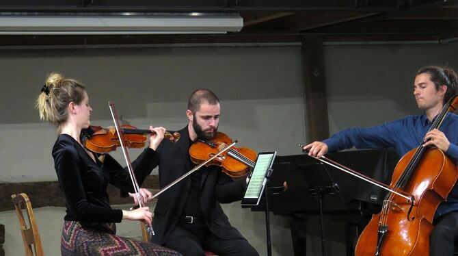 Eva Schall, Pietro Montemagni, Jakob Schall, Goldberg-Trio Eva Schall (Violine), Pietro Montemagni (Viola) und Jakob Schall (Cello) bilden das Goldberg-Trio.