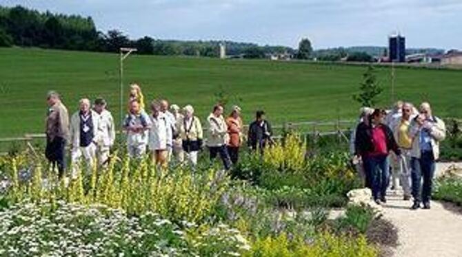 Rund 15 000 Pflanzen wachsen im neuen Alb-Gold-Kräutergarten. Er ist am Wochenende Schauplatz eines Sommermarkts.
FOTO: PR