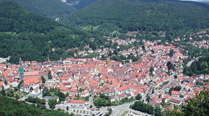 Ohne Einbeziehung der Markung Bad Urachs wäre ein Biosphärengebiet mit Unesco-Anerkennung nicht möglich.
GEA-FOTO: EKS