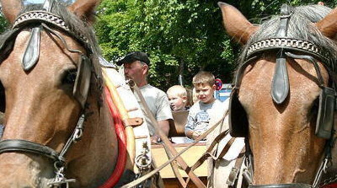 Nostalgie, Gaumenfreuden und peppige Bühnenshows: Bei den Festen in Altenburg, Betzingen (Bild) und Mittelstadt war für jeden etwas geboten.
FOTO: LENZ