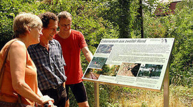 Edith Willmann, Günter Neuhauser und Rainer Blum enthüllten gestern die Infotafel an der alten Bahnstrecke nach Pfullingen. Dort bemüht sich die Aktionsgemeinschaft »Natur in der Stadt« auf einem gut einen Kilometer langen Teilstück um reiches Tierleben.
GEA-FOTO: PACHER