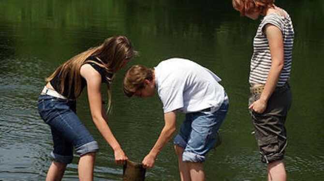 Auch wenn Ökologie eigentlich etwas anderes ist: Ein alter Stinkstiefel wird in einem lebendigen Fluss zu einem Stück Lebensraum.
FOTO: FINK