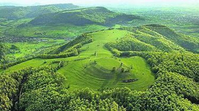 Naturnahe Wälder, artenreiche Wiesen und Magerrasen: Der Albrand zwischen Meisenbühl (vorn) und Hirschkopf (Hintergrund) ist Teil des europäischen Schutzgebiets.
LUFTBILD: GROHE