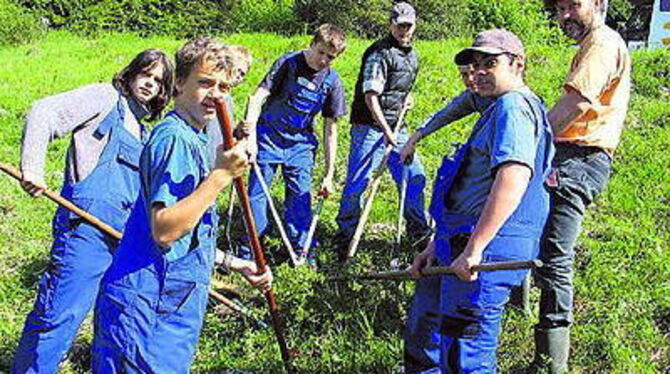 Weg mit dem Gestrüpp, damit die Wiese bleibt: sieben Jes-Projekt-Teilnehmer im Blaumann mit Mentor Michael Nehring (rechts).
FOTO: PFI