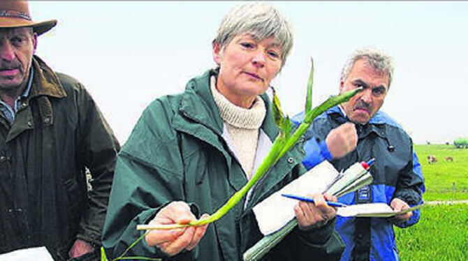 Katharina Weiß kontrolliert die Wirkung von Pflanzenschutzmitteln auf die giftige Herbstzeitlose.
FOTO: HP