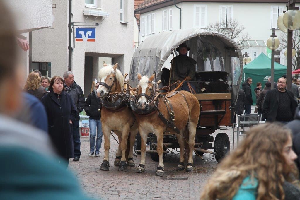 Frühlingserwachen Pfullingen