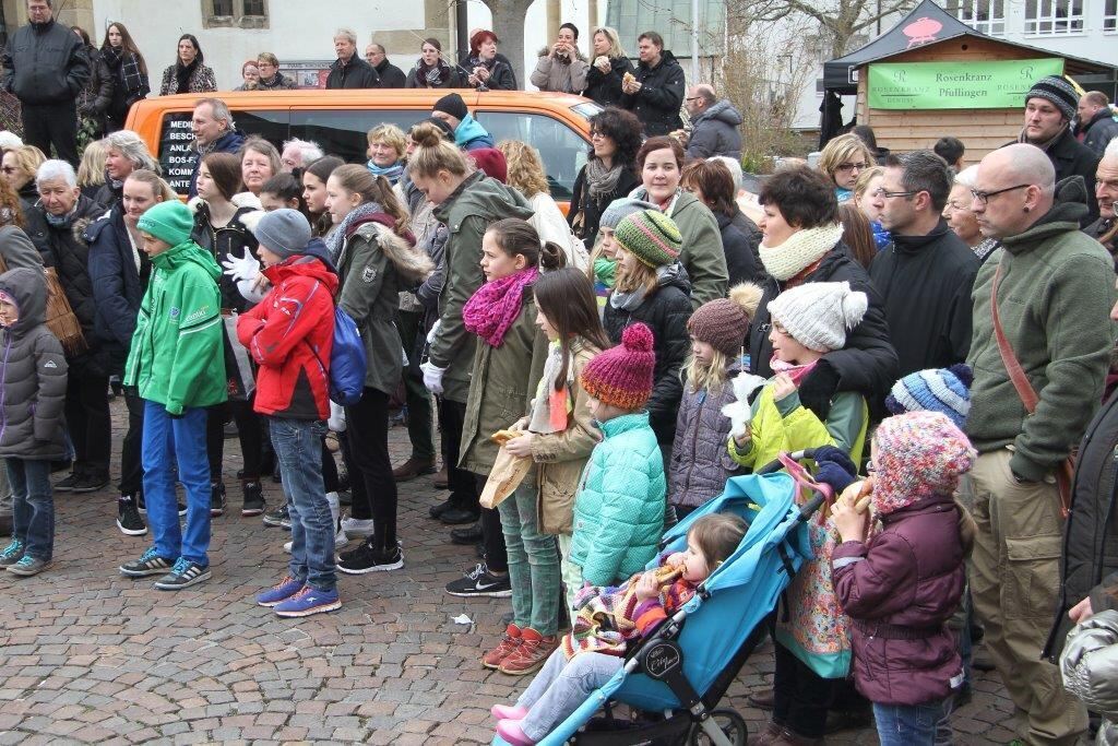 Frühlingserwachen Pfullingen