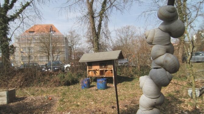 Das heckenumwachsene Stückchen Land hinterm Schulparkplatz soll zu einer grünen Oase für die Grundschüler mutieren. GEA-FOTO: FI