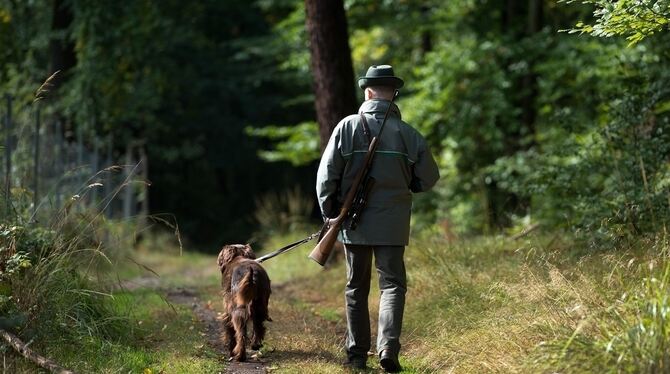 Lange Diskussionen und Kritik der Jäger gingen der Gemeinderatsentscheidung für ein neues Jagdsystem voraus.  GEA-ARCHIVFOTO: DP