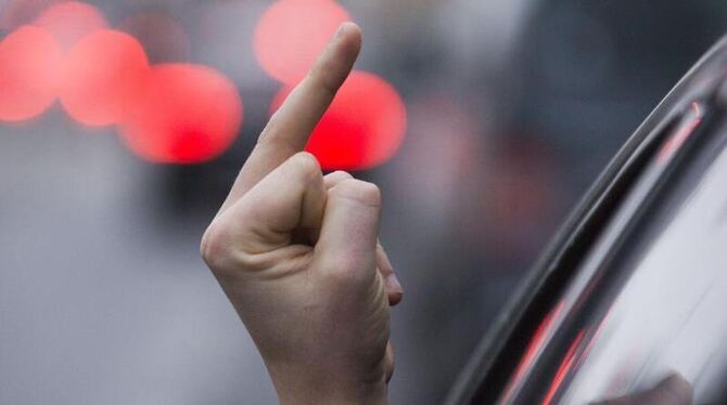 Freundliche Grüße: Für Autofahrer sind andere Autofahrer das größte Ärgernis auf den Straßen. Foto: Jens Büttner