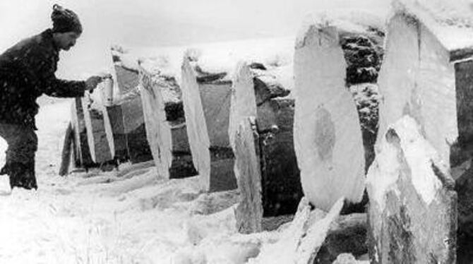 Schlechte Zeiten für gutes Laubholz: Die Nachfrage ist gering, das Holzlager wächst.
GEA-ARCHIV-FOTO: BRÄUNINGER