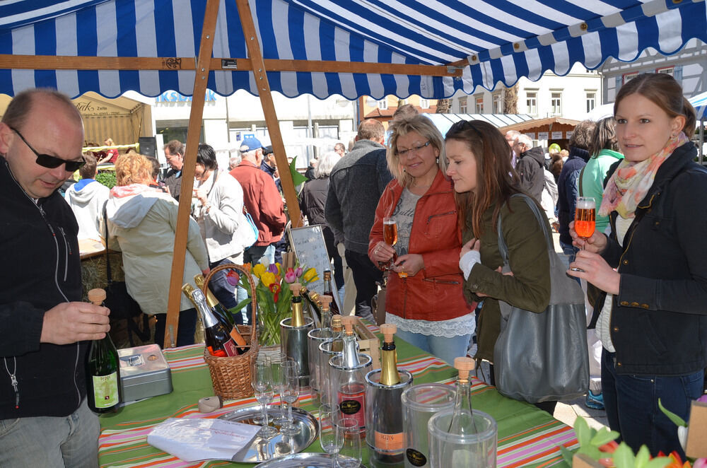 Dettinger Frühlingserwachen