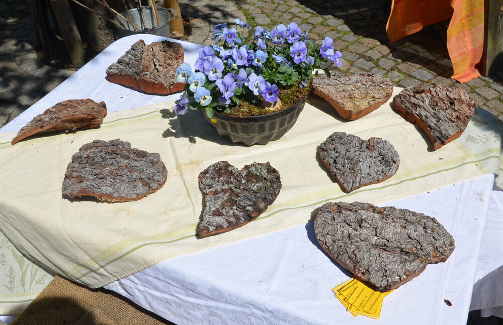 Dettinger Frühlingserwachen