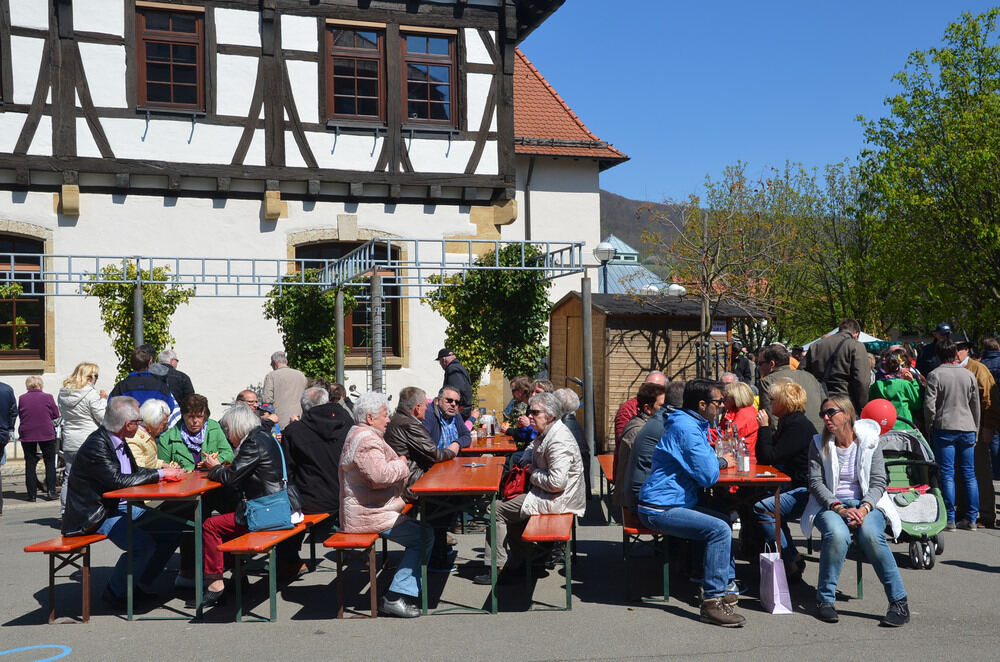 Dettinger Frühlingserwachen