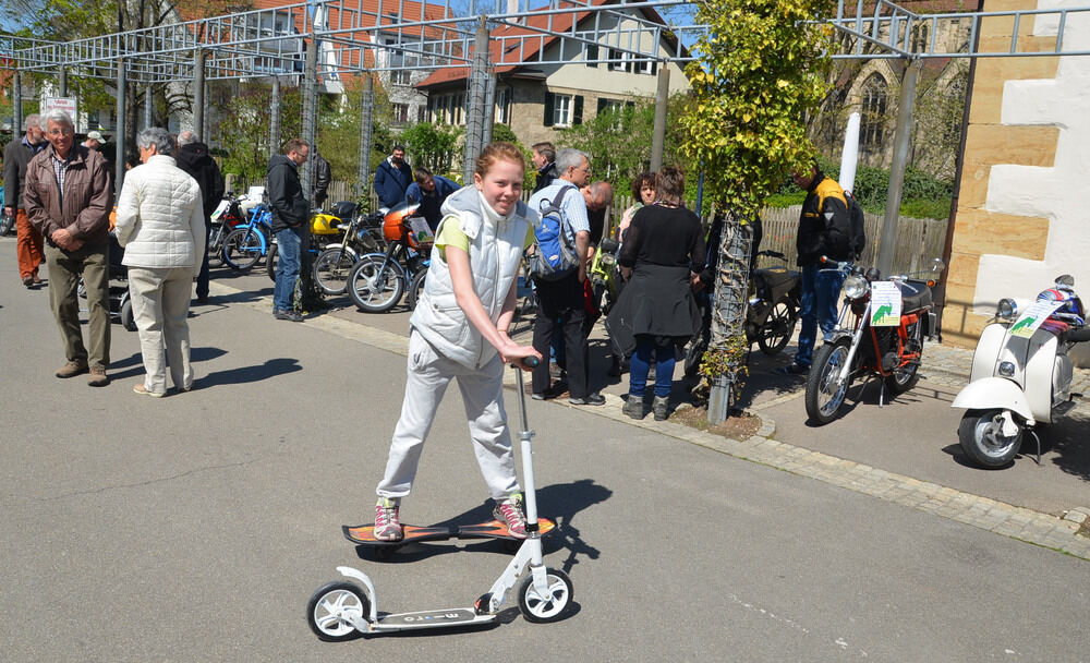 Dettinger Frühlingserwachen