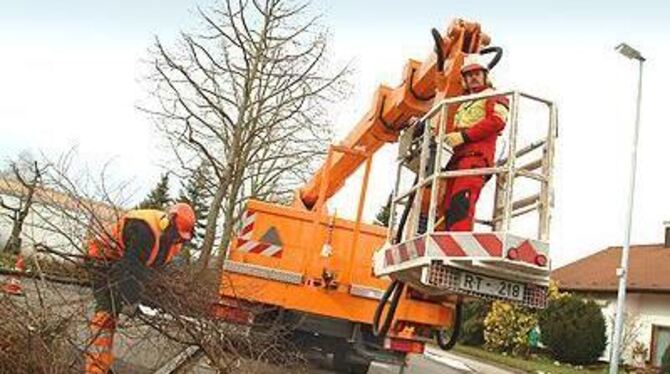 Mitarbeiter der Technischen Betriebsdienste gestern beim Bäumeschneiden: Auch ihre Arbeitszeit soll künftig noch flexibler werden.
FOTO: TRINKHAUS