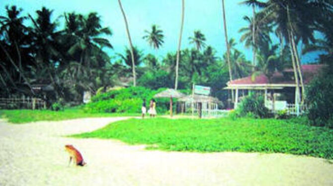 Viele Familien verloren ihre Existenzgrundlage: Auch die kleinen Restaurants am Strand von Hikkaduwa sind zerstört.
FOTO: PR