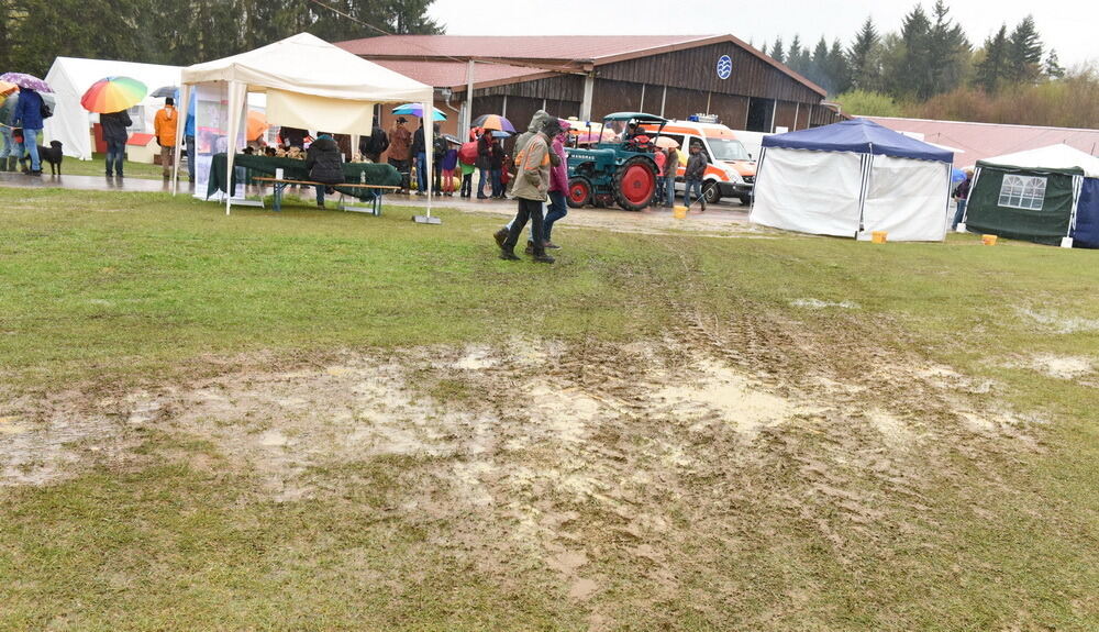 Oldtimerfest in Dottingen