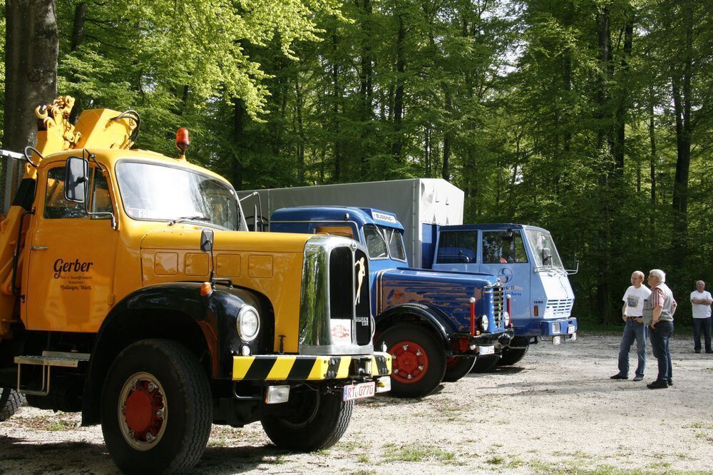 Erstes historisches Lastkraftwagen- und Kraftomnibusse-Treffen Nebelhöhle