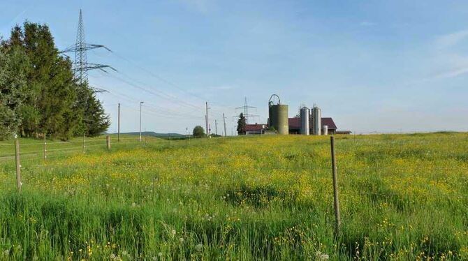 Auf diesem Grundstück könnte der Bau im September beginnen. FOTO: HÄRING