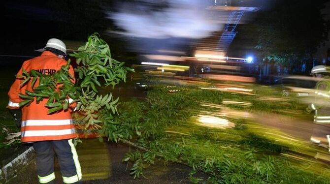 Ein Feuerwehrmann zieht in Bad Krozingen in Baden-Württemberg einen großen Ast von der Fahrbahn. Foto: Patrick Seeger