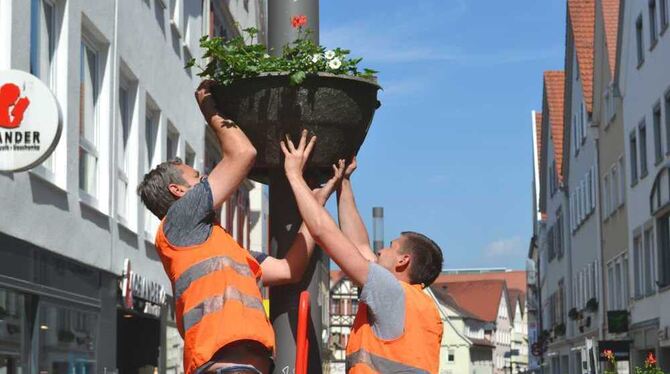 Fachleute in oranje: Die beiden Mitarbeiter einer holländischen Firma bringen die bepflanzen Halbschalen am Laternenmast an. Die