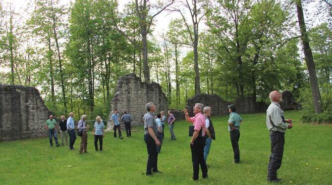 Besorgte Blicke rundum: Die Eschen an der Ruine Hohenstein sehen gar nicht gut aus. Ums Fällen kommen Gemeinde und Forstleute au