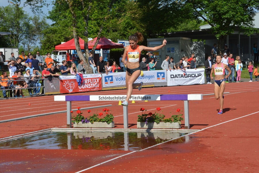 25. Internationales Läufermeeting in Pliezhausen