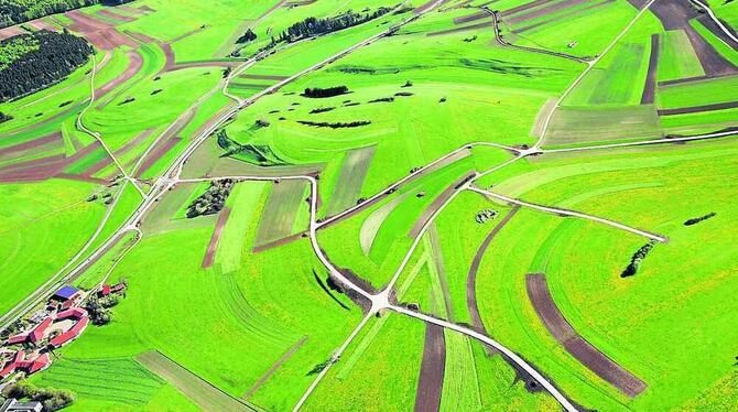 Die Flurbereinigung hat erste Spuren in der Landschaft hinterlassen: Die Hauptwege im Nordwesten Großengstingens (links im Bild