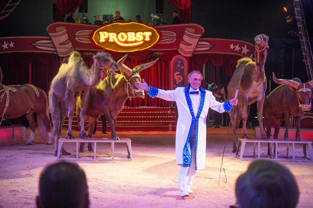 Circus Probst Reutlingen 2015