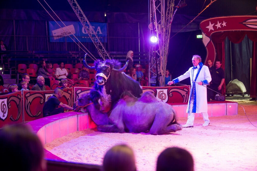 Circus Probst Reutlingen 2015