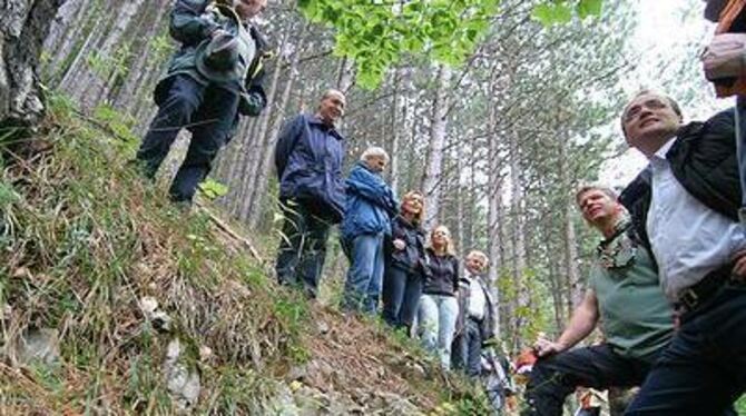 Der Bad Uracher Wald: eine steile, wildromantische Angelegenheit. Was der Stadt nicht nur einige Probleme, sondern auch viele Ch