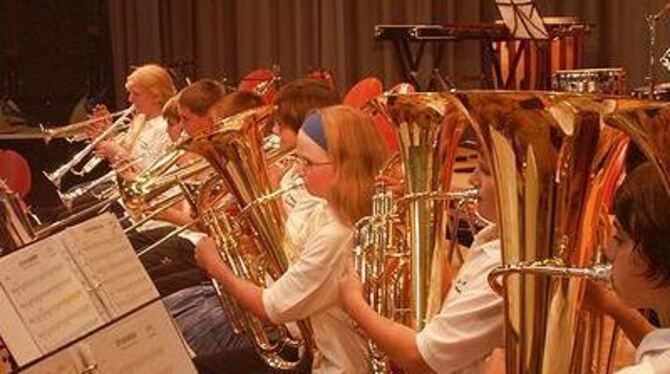 Klingt gut: Der Musikverein Walddorfhäslach und das Bildungszentrum Nord machen gemeinsam Musik. FOTO: WALKER