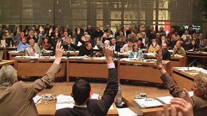 Abstimmung im Gemeinderat Reutlingen. FOTO: TRINKHAUS