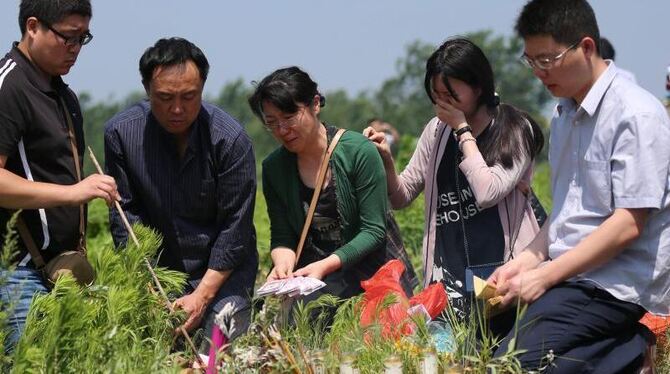 Angehörige trauern um ihre bei einer Schiffskatastrophe auf dem Jangtse getöteten Verwandten und Freunde. Foto: Wu Hong