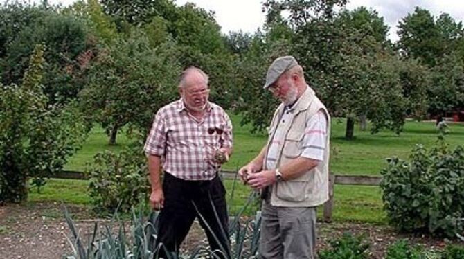 Paul Sänger (links) und Ekkehard Lehman, haben Freude an der Gartenarbeit und geben in der Pomologie gerne auch ihre langjährige