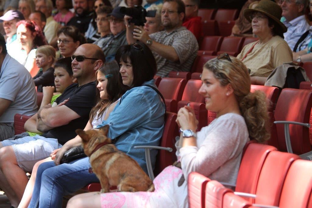 Naturtheater Reutlingen Tag der offenen Tür Juni 2015