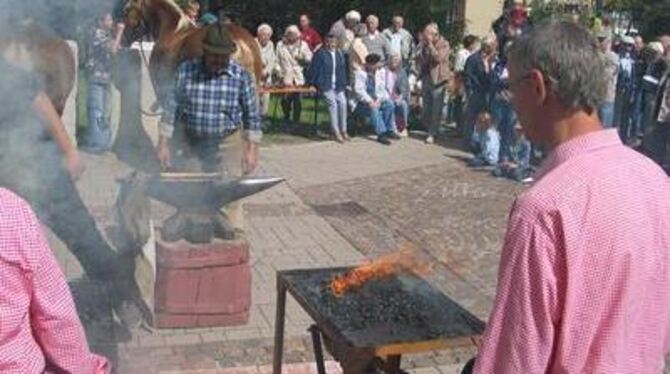 Gelungenes Sommerfest: In Ruhe sitzen - oder zuschauen, was ein Hufschmied macht - konnten die vielen Besucher des Holzelfinger