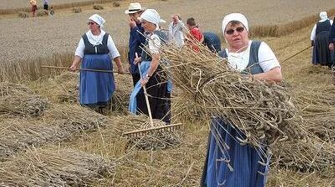 Dass die Dinkelernte von Hand alles andere als vergnüglich war, zeigten die Erntehelfer des Albvereins in Mägerkingen. FOTO: HÄU