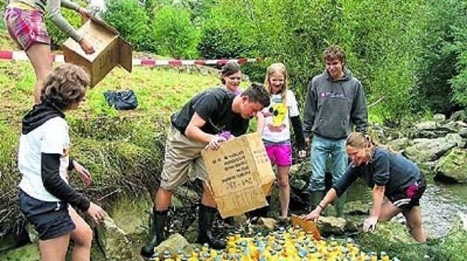 Ins Wasser, marsch: SMV-Aktive entlassen die quietschgelbe Entenschar aus Kartons auf die Wettkampfbahn. 
FOTO: PICK