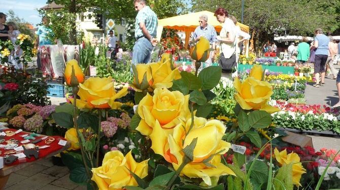 Tausende Besucher ziehen der Rosenmarkt und die Kunstgalerie jedes Jahr an.  FOTO: PR