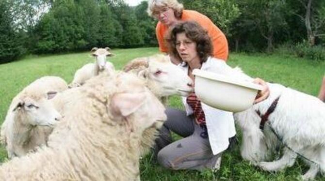 Suchen Mitstreiter in Sachen Artenschutz: Die beiden Teilzeit-Schäferinnen Barbara Zeppenfeld (vorn) und Birgit Schäfer. FOTO: R