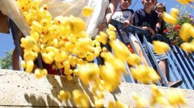 Die Jugendlichen des Albvereins lassen die Enten zum Rennen zu Wasser. FOTO: BAIER