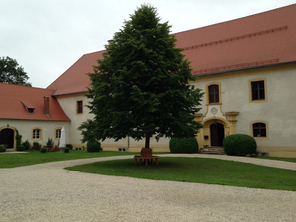 Miniköche auf Schloss Ehrenfels