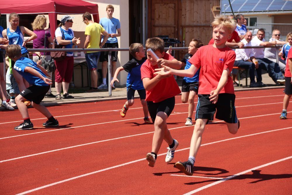 Lichtensteinlauf 2015. Fotos: Leippert.