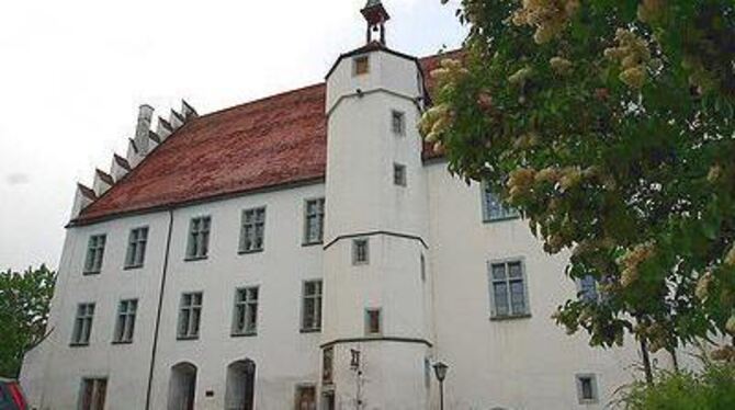 Die Fenster müssen erneuert, die Fassade muss saniert werden: Am Trochtelfinger Schloss ist einiges zu tun. FOTO: BAIER