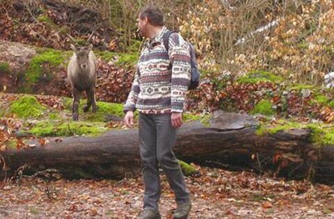 Den Steinbock Zieht S Zum Wasserfall Neckar Erms Reutlinger General Anzeiger Gea De