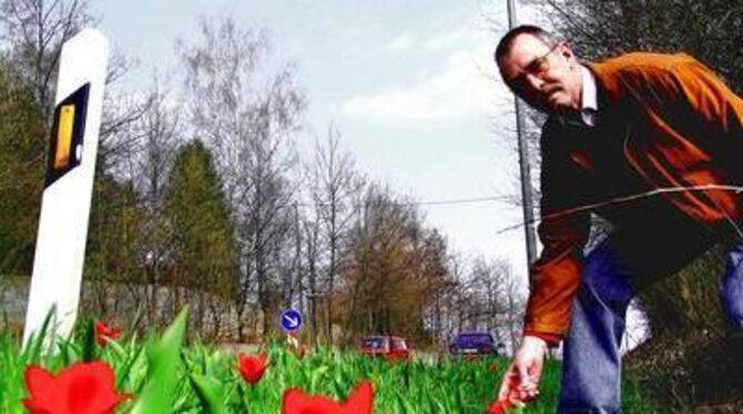 Trotz des langen Winters: Am Ortseingang blühen schon die ersten tiefroten Tulpen, freut sich Ralf Wössner. GEA-FOTO: HD