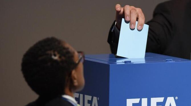 Der neue FIFA-Präsident wird erst 2016 gewählt. Foto: Patrick Seeger