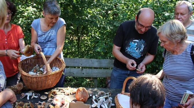 Pliezhausen bietet auch für Erwachsene ein kurzweiliges Ferienprogramm: Zum Beispiel Pilze sammeln und zubereiten mit Ulrich Zie